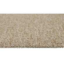 Teppichboden Schlinge Rambo beige FB70 500 cm breit (Meterware)