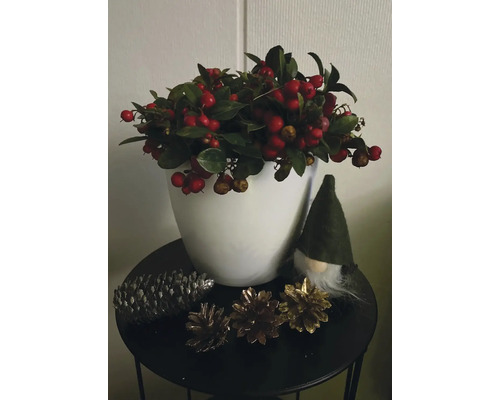 Dekorative Anordnung mit roten Beeren, Tannenzapfen und einer Zwergenfigur auf einem Tisch.