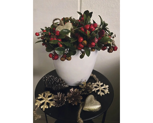 Weihnachtsdekoration mit Beeren, Tannenzapfen, Herzanhänger und Schneeflockenornamenten in Weißem Topf auf kleinem Beistelltisch