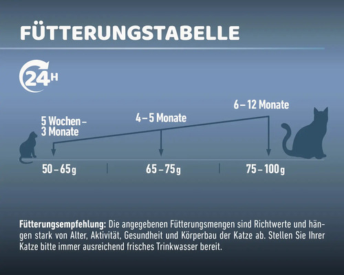 Fütterungstabelle für Katzenfutter nach Alter in Monaten und Futtermenge in Gramm.