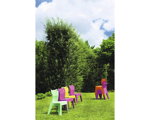 Mehrere bunte Kinderstühle im Garten.