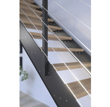 Pertura Wangentreppe Libra Eiche rustikal ohne Setzstufen Pulverbeschichtet Seitenwange Anthrazit gerade 85 cm 11 Stufen / 12 Steigungen Stabgeländer