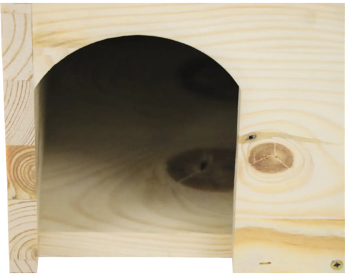 Detailansicht eines unbehandelten Holzhäuschens mit bogenförmiger Öffnung.