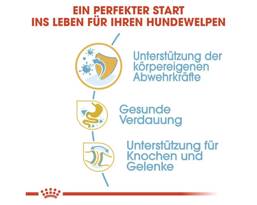 Information zur Unterstützung der Abwehrkräfte, der gesunden Verdauung sowie der Knochen und Gelenke von Hundewelpen.