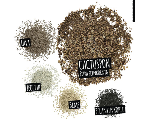 Abbildung verschiedener Zuschlagstoffe für Pflanzenerde: Lava, Zeolith, Bims, Pflanzenkohle und Cactuspon extra feinkörnig