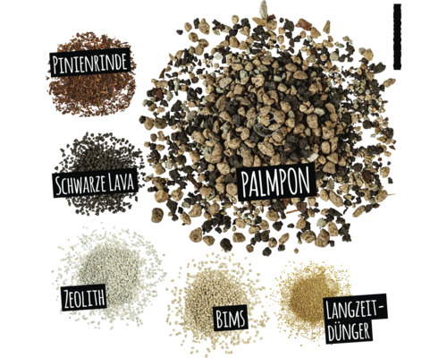 Abbildung verschiedener Pflanzsubstrate: Pinienrinde, schwarze Lava, Zeolith, Bims, Langzeitdünger und Palmpon
