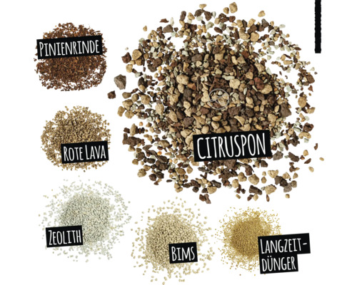 Citruspflanzenerde, Pinienrinde, rote Lava, Zeolith, Bims und Langzeitdünger