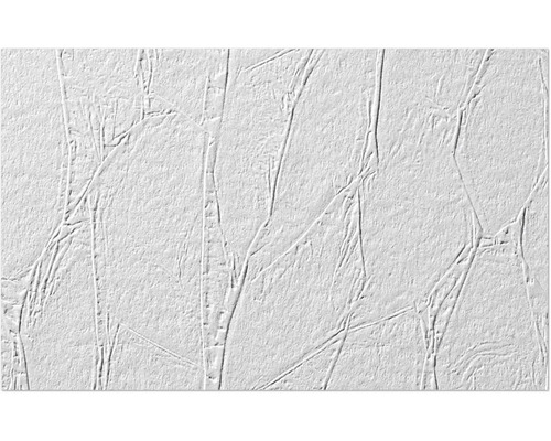 Erfurt Vliesfaser 1004308 Protect 200 10,05x0,53 m Tapete mit abstraktem Muster