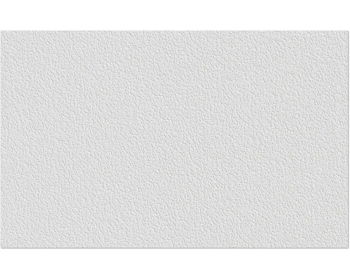 Erfurt Vliesfaser 1004312 Protect 204 10,05x0,53 m Weiße Raufasertapete mit feiner Struktur