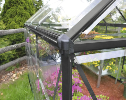 Nahaufnahme eines Gewächshauses mit klarer Verglasung und dunklem Rahmen.