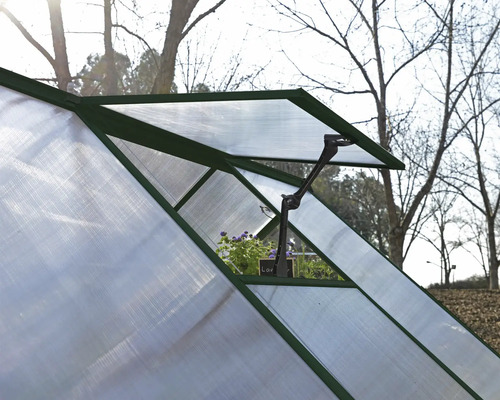 Ausschnitt eines Gewächshauses mit geöffnetem Fensterflügel und Fensteröffner
