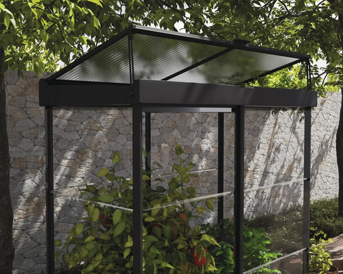 Gewächshaus mit Pflanzen im Garten