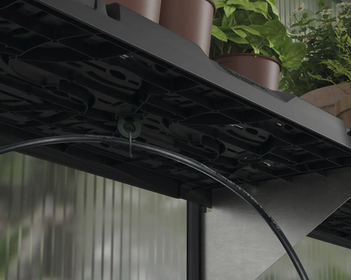 Detailansicht eines Gewächshauses mit Pflanzen auf einem Regal und einem Bewässerungssystem.