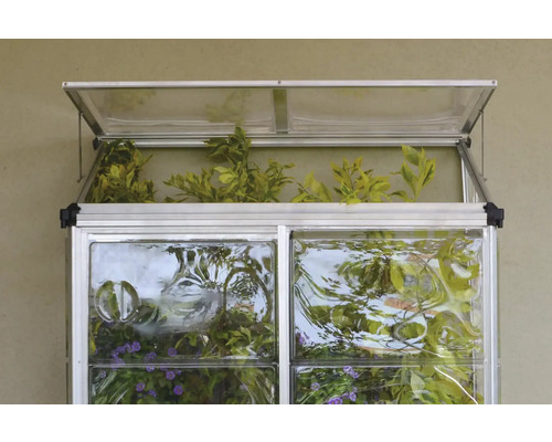 Gewächshaus mit geöffnetem Deckel und Pflanzen