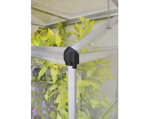 Detailaufnahme eines Gewächshauses mit Pflanzen im Inneren