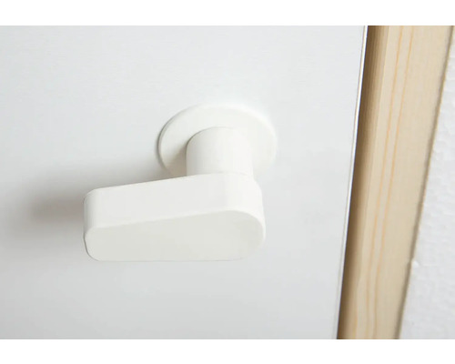 Türbeschlag mit Türgriff