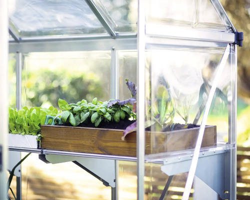 Gewächshaus mit jungen Pflanzen in Holzkisten