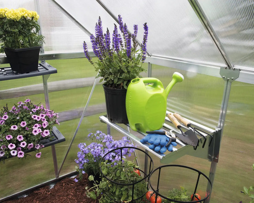 Gewächshaus mit Pflanzen, Regalen, Gießkanne und Gartengeräten.