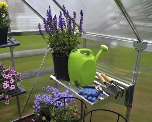 Innenansicht eines Gewächshauses mit Pflanzen, Gießkanne und Gartengeräten auf Regalen