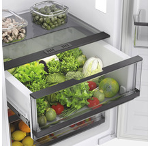 Kühlschrank HAIER HATL 174 DE BxHxT 54 x 176,9 x 54 cm Kühlteil 316 l