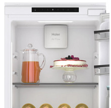 Kühlschrank HAIER HATL 174 DE BxHxT 54 x 176,9 x 54 cm Kühlteil 316 l