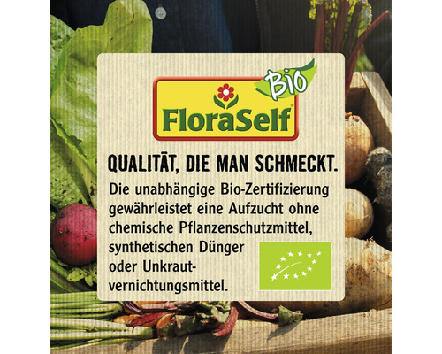 Bio Erdbeere 'Mara des Bois' FloraSelf Bio Ø 9 cm Topf, Remontierend/ immertragend, intensiver Geschmack