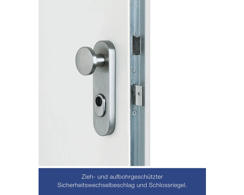 Türbeschlag mit Sicherheitszylinder und Schließriegel