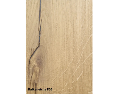Balkeneiche F05 Holzstruktur