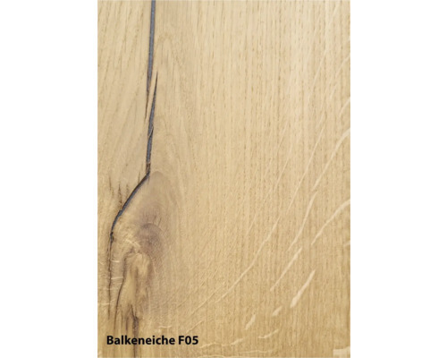 Balkeneiche F05 Holzstruktur