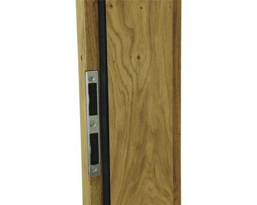 Detailansicht einer Holztür mit Beschlägen