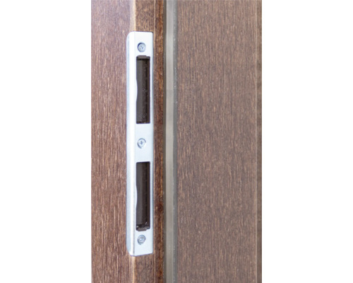 Detailansicht einer Schiebetür mit Griffmuschel aus Metall