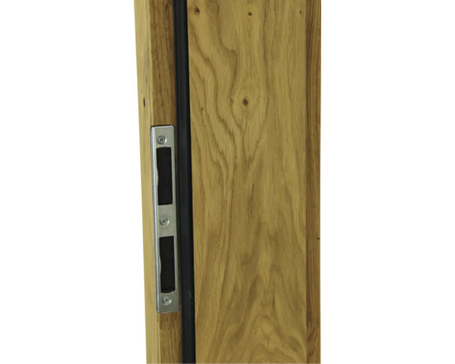 Detailansicht einer Holztür mit Schlosskasten