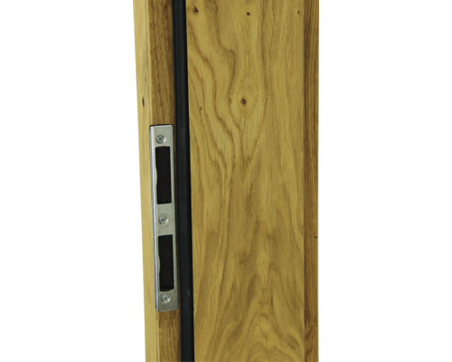 Detail einer Holztür mit Schlosskasten