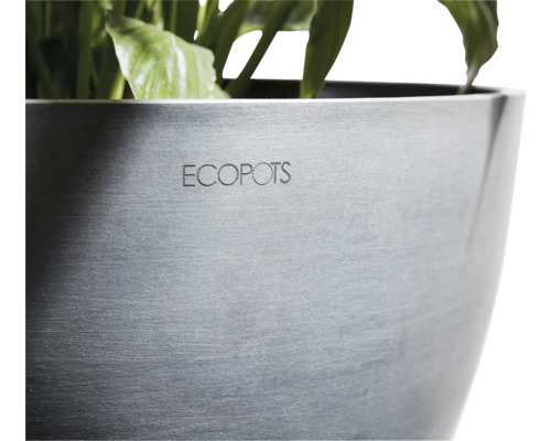 Detailansicht eines Ecobots Pflanzgefäßes mit Pflanze