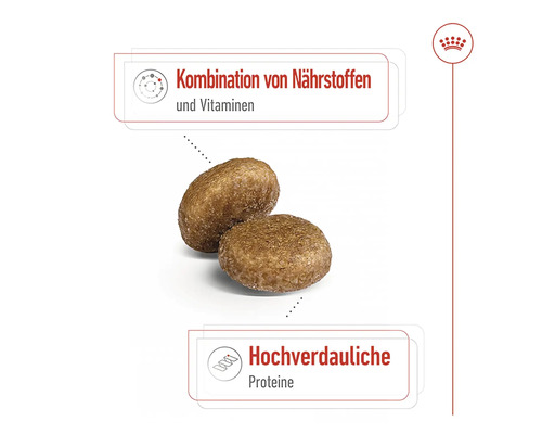 Zwei Kroketten Hundetrockenfutter mit Nährstoff und Vitamin Kombination sowie hochverdaulichen Proteinen