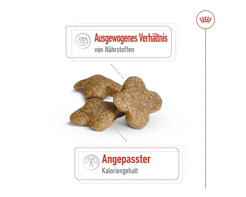 Hundefutter-Kroketten mit ausgewogenem Nährstoffverhältnis und angepasstem Kaloriengehalt