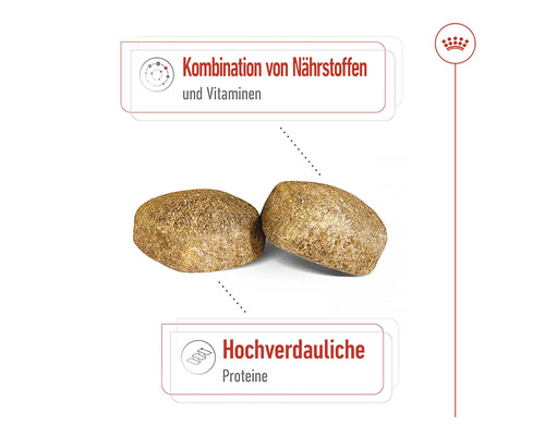 Zwei Hundefutterstücke mit dem Hinweis Kombination aus Nährstoffen und Vitaminen sowie hochverdauliche Proteine