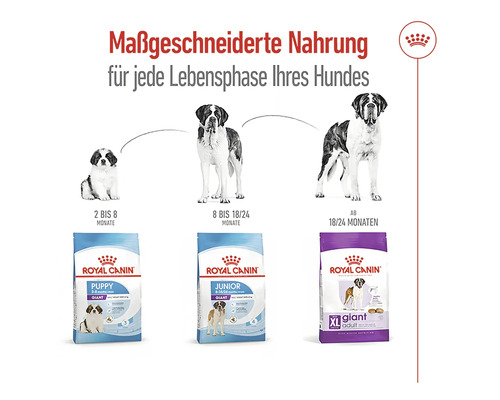 Royal Canin Hundefutter für jede Lebensphase