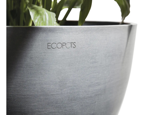 Ecopots Pflanztopf mit Pflanzen