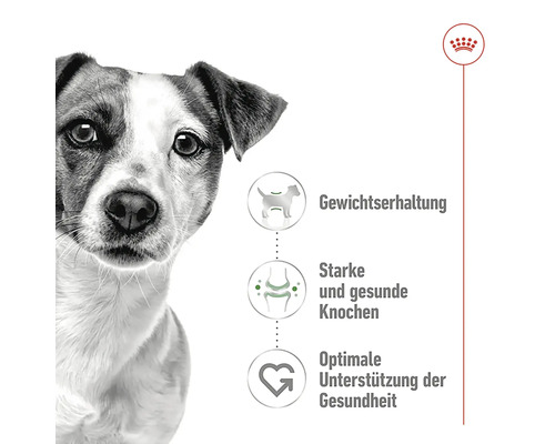 Produktinformationen für Hundeernährung: Gewichtserhaltung, starke und gesunde Knochen, optimale Gesundheitsunterstützung.
