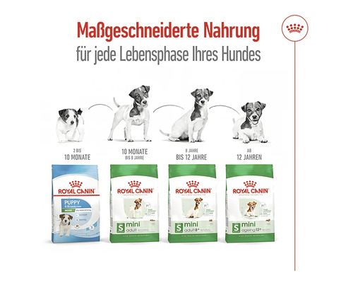 Royal Canin Hundefutter für jede Lebensphase