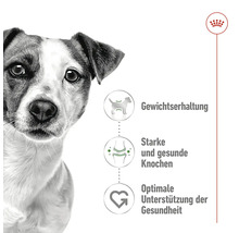 Produktinformationen mit Hund, Gewichtserhaltung, starke und gesunde Knochen, optimale Unterstützung der Gesundheit