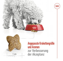 Hund frisst Trockenfutter aus einem roten Napf, Krokettengröße 1 cm