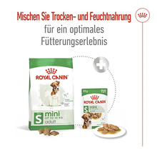 Royal Canin Mini Adult Hunde Trocken- und Nassfutter