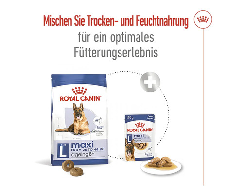 Royal Canin Maxi Adult Hunde Trocken- und Nassfutter Kombination für ein optimales Fütterungserlebnis