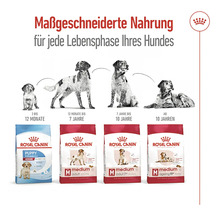 Royal Canin Hundefutter für jede Lebensphase des Hundes