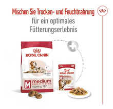 Royal Canin Medium Ageing 10 plus Hunde Trockenfutter und Nassfutter für Hunde von 11 bis 25 Kilogramm