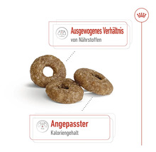 Hundefutter trocken Royal Canin Mini Ageing +12, 1,5 kg