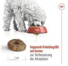 Hundefutter trocken Royal Canin Mini Ageing +12, 1,5 kg