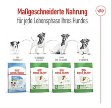 Hundefutter trocken Royal Canin Mini Ageing +12, 1,5 kg